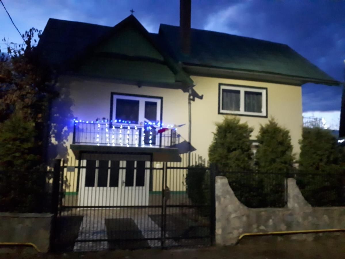Гостевой дом Casa Verde Săsciori-4