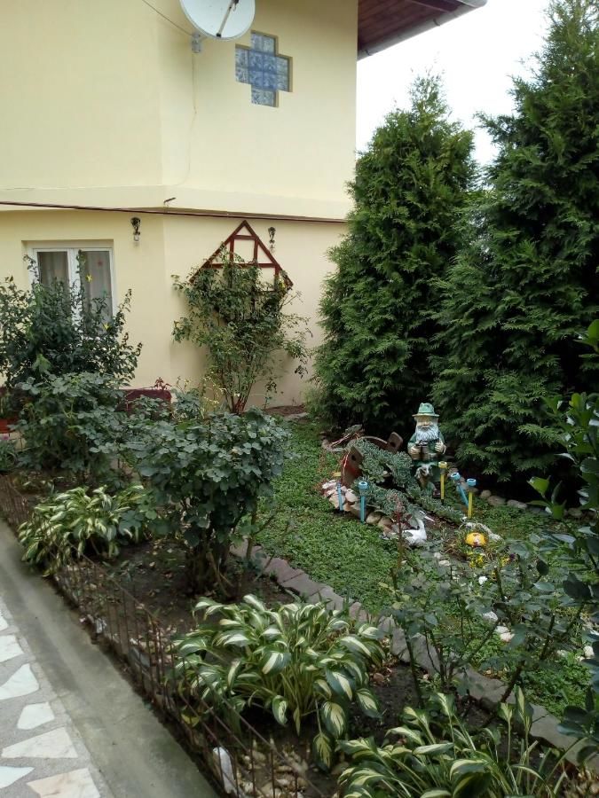 Гостевой дом Casa Verde Săsciori-5