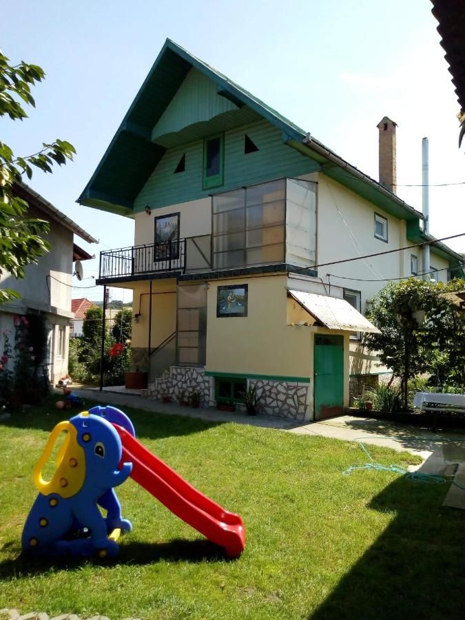 Гостевой дом Casa Verde Săsciori-7
